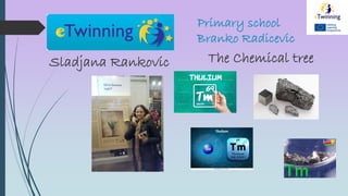 Primary school
Branko Radicevic
Sladjana Rankovic The Chemical tree
 
