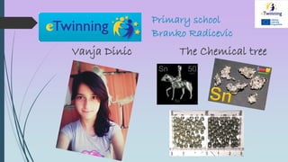 Primary school
Branko Radicevic
Vanja Dinic The Chemical tree
 