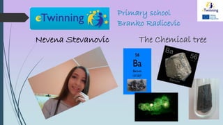 Primary school
Branko Radicevic
Nevena Stevanovic The Chemical tree
 