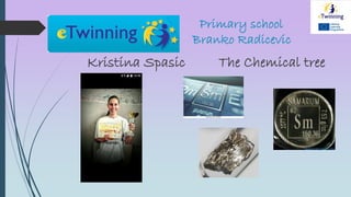 Primary school
Branko Radicevic
Kristina Spasic The Chemical tree
 