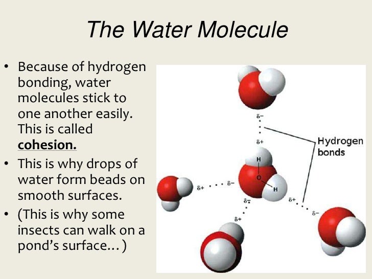 The Chemistry Of Life