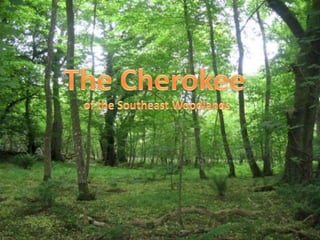 The Cherokee of the Southeast Woodlands 