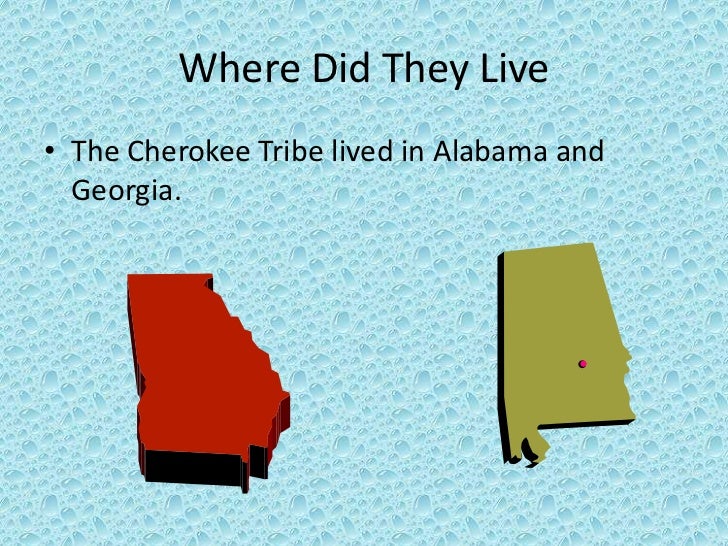 The Cherokee Tribe