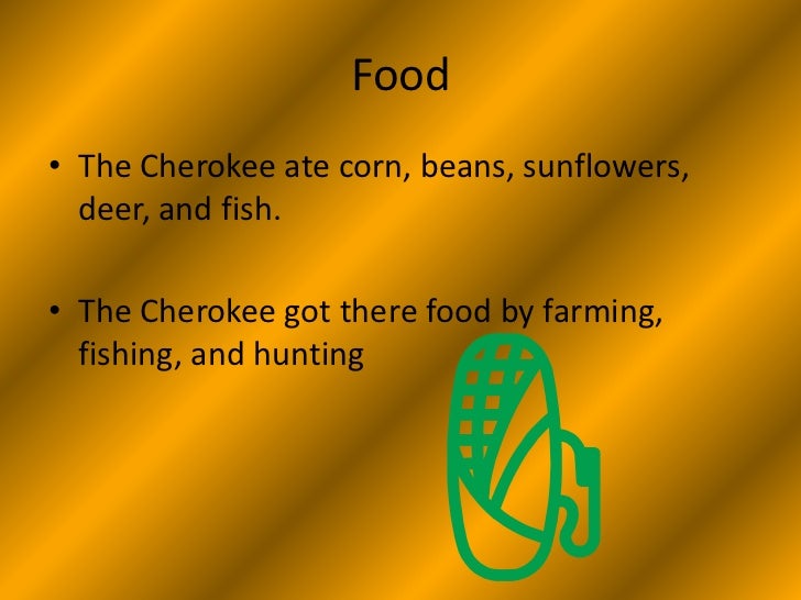 the cherokee tribe