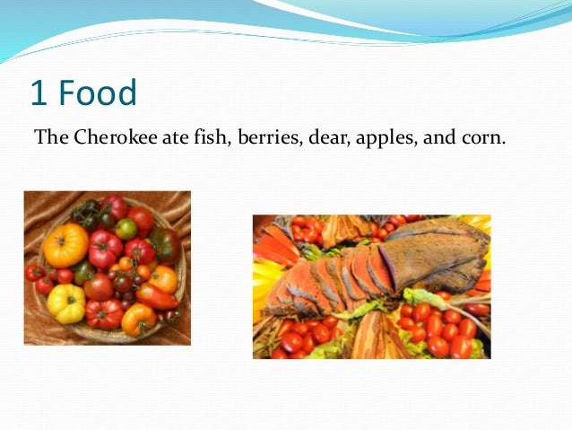 The cherokee tribe brody