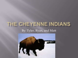 The Cheyenne Indians By: Tyler, Ryan, and Matt  
