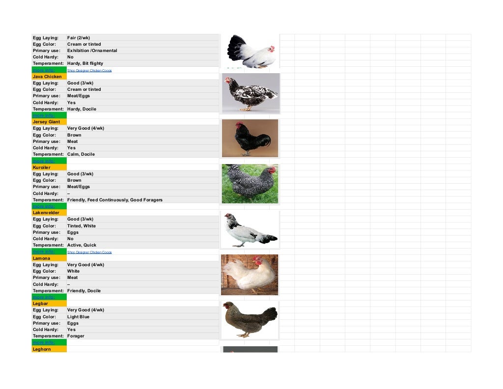 The Chicken Breed list with info.pdf