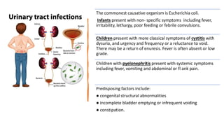 The commonest causative organism is Escherichia coli.
Infants present with non- specific symptoms including fever,
irritability, lethargy, poor feeding or febrile convulsions.
Children present with more classical symptoms of cystitis with
dysuria, and urgency and frequency or a reluctance to void.
There may be a return of enuresis. Fever is often absent or low
grade.
Children with pyelonephritis present with systemic symptoms
including fever, vomiting and abdominal or fl ank pain.
Predisposing factors include:
● congenital structural abnormalities
● incomplete bladder emptying or infrequent voiding
● constipation.
 