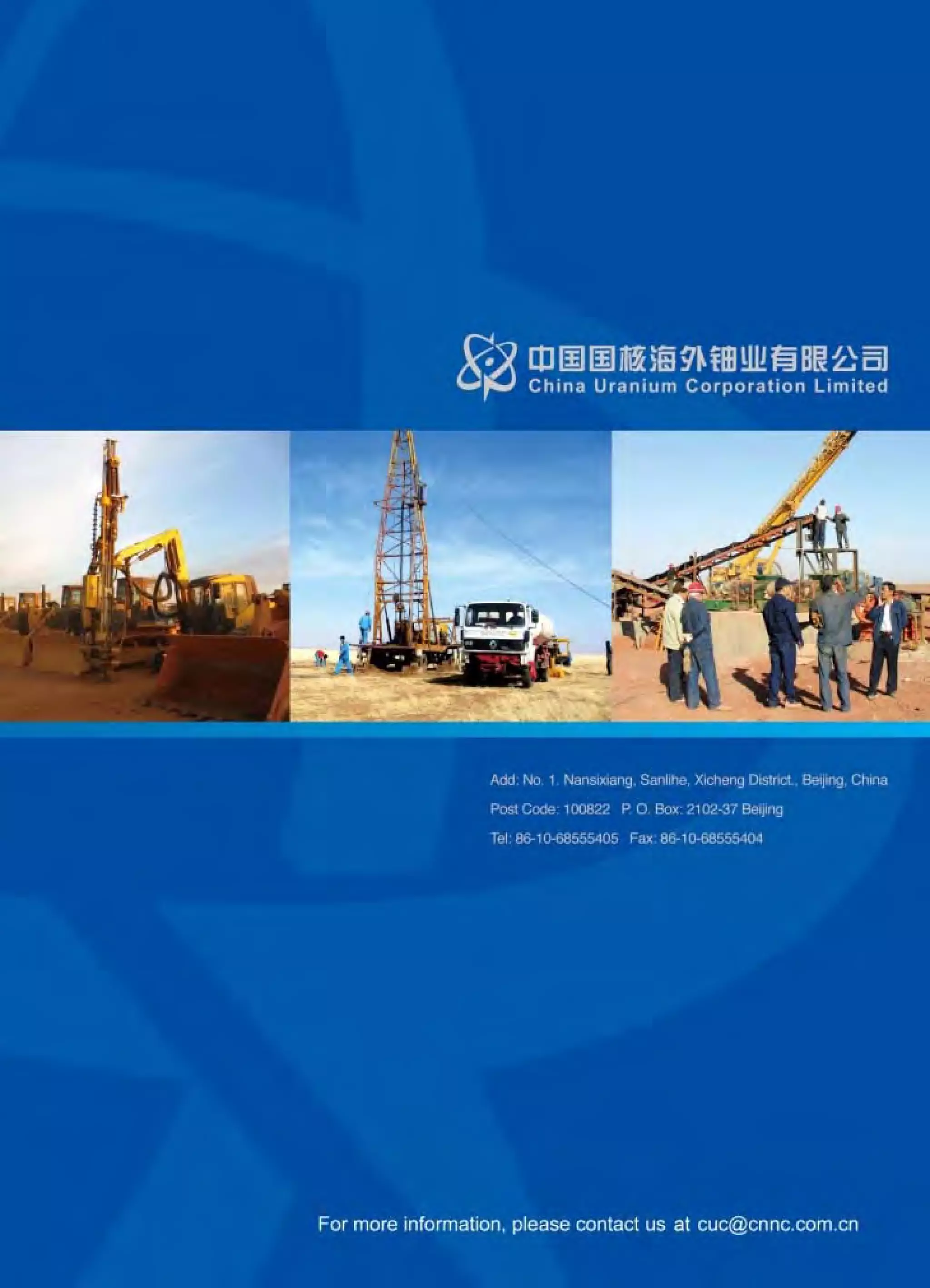 The China Analyst - May 2010