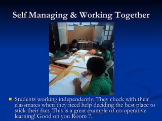 Self Managing & Working Together Students working independently. They check with their classmates when they need help deciding the best place to stick their fact. This is a great example of co-operative learning! Good on you Room 7.  