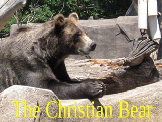 The Christian Bear 
