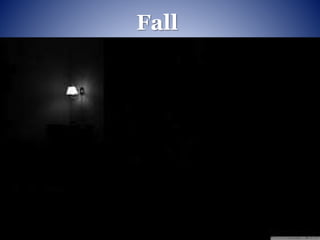 Fall
 
