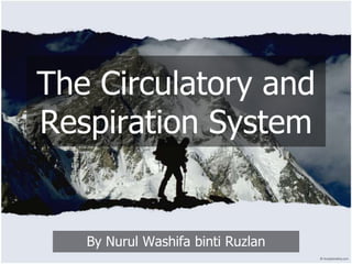 The Circulatory and
Respiration System

By Nurul Washifa binti Ruzlan

 