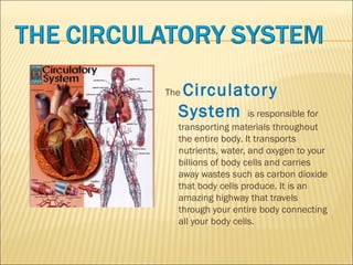 The circulatory system | PPT
