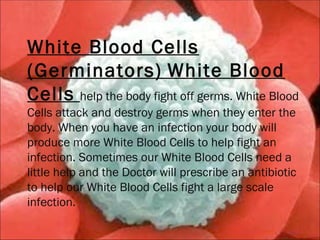 The circulatory system | PPT