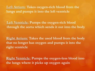 Left Atrium: Takes oxygen-rich blood from the
lungs and pumps it into the left ventricle


Left Ventricle: Pumps the oxygen-rich blood
through the aorta which sends it out into the body


Right Atrium: Takes the used blood from the body
that no longer has oxygen and pumps it into the
right ventricle


Right Ventricle: Pumps the oxygen-less blood into
the lungs where it picks up oxygen again
 