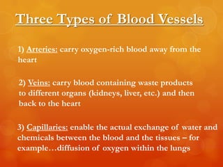 Three Types of Blood Vessels
1) Arteries: carry oxygen-rich blood away from the
heart

2) Veins: carry blood containing waste products
to different organs (kidneys, liver, etc.) and then
back to the heart

3) Capillaries: enable the actual exchange of water and
chemicals between the blood and the tissues – for
example…diffusion of oxygen within the lungs
 