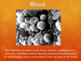 Blood




The fluid that circulates in the heart, arteries, capillaries, and
veins of a vertebrate animal carrying nourishment and oxygen
to and bringing away waste products from all parts of the body.
 