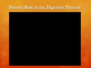 Blood’s Role in the Digestive Process
 