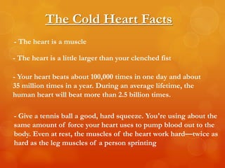 The Cold Heart Facts
- The heart is a muscle

- The heart is a little larger than your clenched fist

- Your heart beats about 100,000 times in one day and about
35 million times in a year. During an average lifetime, the
human heart will beat more than 2.5 billion times.

- Give a tennis ball a good, hard squeeze. You're using about the
same amount of force your heart uses to pump blood out to the
body. Even at rest, the muscles of the heart work hard—twice as
hard as the leg muscles of a person sprinting
 