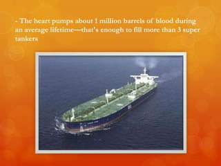 - The heart pumps about 1 million barrels of blood during
an average lifetime—that's enough to fill more than 3 super
tankers
 
