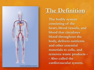 The Definition
 The bodily system
 consisting of the
 heart, blood vessels, and
 blood that circulates
 blood throughout the
 body, delivers nutrients
 and other essential
 materials to cells, and
 removes waste products -
 - Also called the
 cardiovascular system.
 