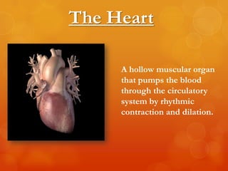 The Heart

     A hollow muscular organ
     that pumps the blood
     through the circulatory
     system by rhythmic
     contraction and dilation.
 