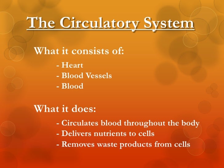 respiratory system essay questions Nclex practice questions for respiratory as is the case in a normal respiratory system related essays. respiratory system essay questions Nclex practice questions for respiratory as is the case in a normal respiratory system related essays.