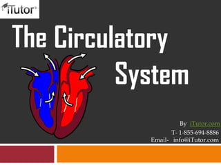 The Circulatory
System
T- 1-855-694-8886
Email- info@iTutor.com
By iTutor.com
 