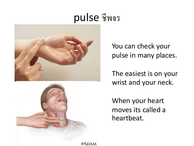 How do you check your pulse?