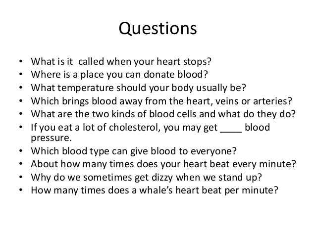 The circulatory system