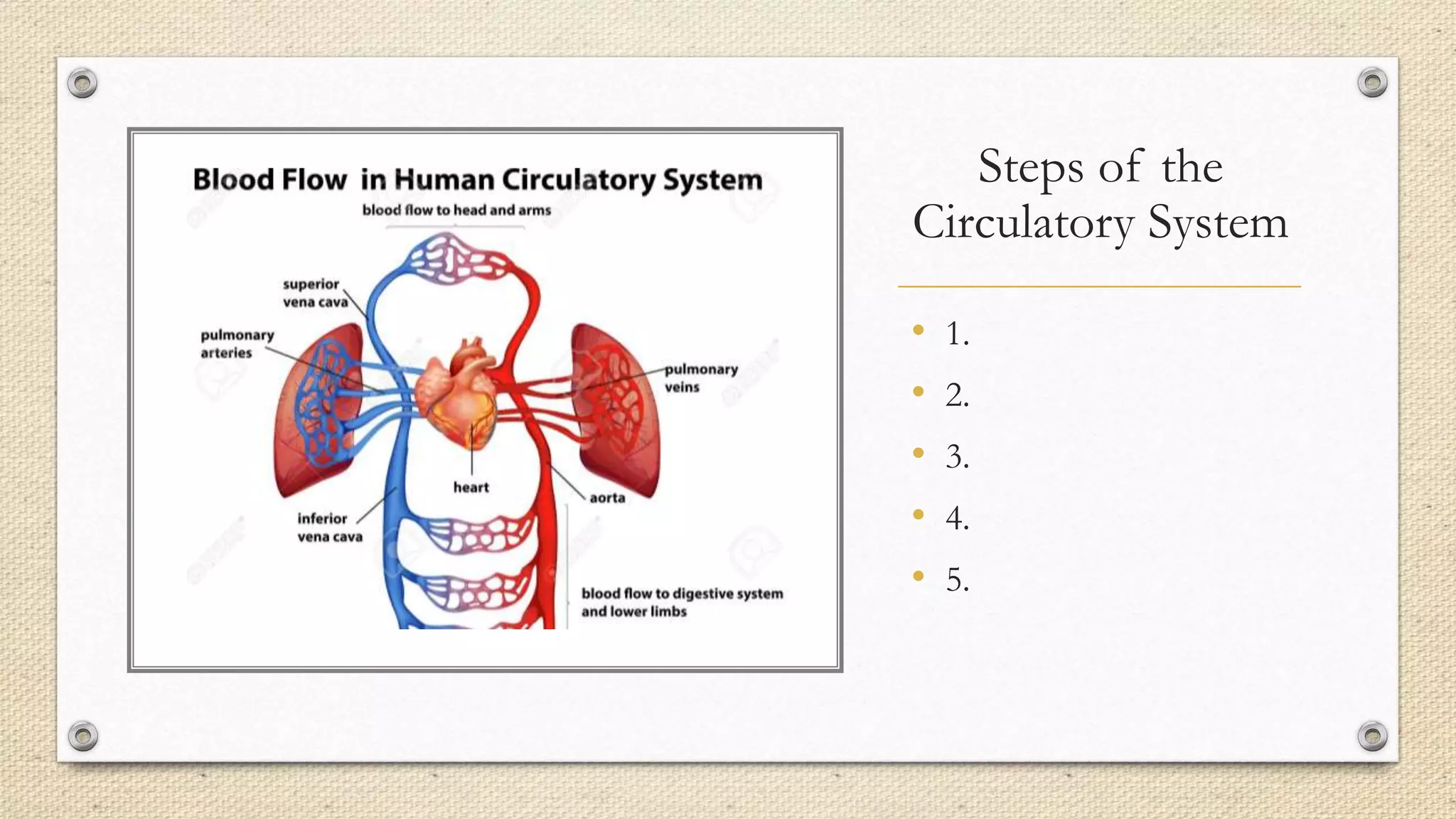 Steps of the
Circulatory System
• 1.
• 2.
• 3.
• 4.
• 5.
 