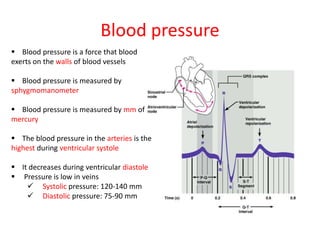 Blood pressure
 Blood pressure is a force that blood
exerts on the walls of blood vessels
 Blood pressure is measured by
sphygmomanometer
 Blood pressure is measured by mm of
mercury
 The blood pressure in the arteries is the
highest during ventricular systole
 It decreases during ventricular diastole
 Pressure is low in veins
 Systolic pressure: 120-140 mm
 Diastolic pressure: 75-90 mm
 