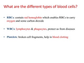 What are the different types of blood cells?
• RBCs: contain red hemoglobin which enables RBCs to carry
oxygen and some carbon dioxide
• WBCs: lymphocytes & phagocytes, protect us from diseases
• Platelets: broken cell fragments, help in blood clotting
 