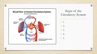 Steps of the
Circulatory System
• 1.
• 2.
• 3.
• 4.
• 5.
 