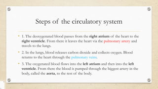 Steps of the circulatory system
• 1. The deoxygenated blood passes from the right atrium of the heart to the
right ventricle. From there it leaves the heart via the pulmonary artery and
travels to the lungs.
• 2. In the lungs, blood releases carbon dioxide and collects oxygen. Blood
returns to the heart through the pulmonary veins.
• 3. The oxygenated blood flows into the left atrium and then into the left
ventricle. From there the blood is pumped through the biggest artery in the
body, called the aorta, to the rest of the body.
 