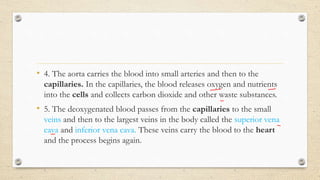 • 4. The aorta carries the blood into small arteries and then to the
capillaries. In the capillaries, the blood releases oxygen and nutrients
into the cells and collects carbon dioxide and other waste substances.
• 5. The deoxygenated blood passes from the capillaries to the small
veins and then to the largest veins in the body called the superior vena
cava and inferior vena cava. These veins carry the blood to the heart
and the process begins again.
 