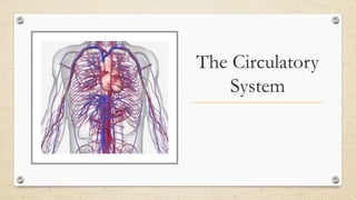 The Circulatory
System
 
