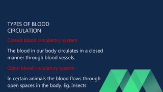 TYPES OF BLOOD
CIRCULATION
Closed blood circulatory system
The blood in our body circulates in a closed
manner through blood vessels.
Open blood circulatory system
In certain animals the blood flows through
open spaces in the body. Eg. Insects
 