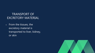 TRANSPORT OF
EXCRETORY MATERIAL
 From the tissues, the
excretory material is
transported to liver, kidney,
or skin
 