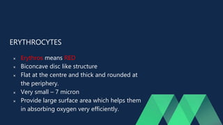 ERYTHROCYTES
 Erythros means RED
 Biconcave disc like structure
 Flat at the centre and thick and rounded at
the periphery.
 Very small – 7 micron
 Provide large surface area which helps them
in absorbing oxygen very efficiently.
 