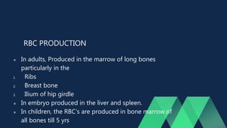 RBC PRODUCTION
 In adults, Produced in the marrow of long bones
particularly in the
1. Ribs
2. Breast bone
3. Ilium of hip girdle
 In embryo produced in the liver and spleen.
 In children, the RBC’s are produced in bone marrow of
all bones till 5 yrs
 