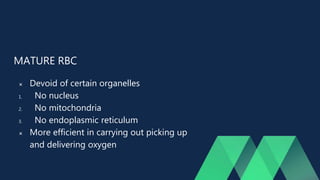 MATURE RBC
 Devoid of certain organelles
1. No nucleus
2. No mitochondria
3. No endoplasmic reticulum
 More efficient in carrying out picking up
and delivering oxygen
 