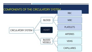 COMPONENTS OF THE CIRCULATORY SYSTEM
CIRCULATORY SYSTEM
BLOOD
RBC
WBC
PLATELETS
HEART
BLOOD
VESSELS
ARTERIES
VEINS
CAPILLARIES
 