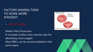 FACTORS MAKING THEM
TO WORK MORE
EFFICIENT
 Loss of nucleus
Makes them biconcave
It increases surface area volume ratio for
absorbing more oxygen
More RBCs can be accommodated in the
same space
 