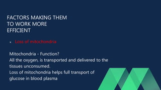FACTORS MAKING THEM
TO WORK MORE
EFFICIENT
 Loss of mitochondria
Mitochondria - Function?
All the oxygen, is transported and delivered to the
tissues unconsumed.
Loss of mitochondria helps full transport of
glucose in blood plasma
 