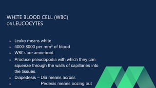 WHITE BLOOD CELL (WBC)
OR LEUCOCYTES
 Leuko means white
 4000-8000 per mm3 of blood
 WBCs are amoeboid.
 Produce pseudopodia with which they can
squeeze through the walls of capillaries into
the tissues.
 Diapedesis – Dia means across
 Pedesis means oozing out
 