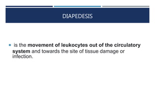 DIAPEDESIS
 is the movement of leukocytes out of the circulatory
system and towards the site of tissue damage or
infection.
 