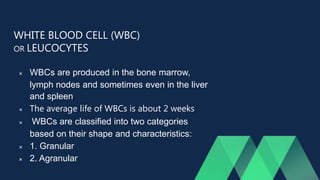 WHITE BLOOD CELL (WBC)
OR LEUCOCYTES
 WBCs are produced in the bone marrow,
lymph nodes and sometimes even in the liver
and spleen.
 The average life of WBCs is about 2 weeks
 WBCs are classified into two categories
based on their shape and characteristics:
 1. Granular
 2. Agranular
 