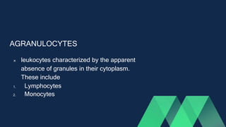 AGRANULOCYTES
 leukocytes characterized by the apparent
absence of granules in their cytoplasm.
These include
1. Lymphocytes
2. Monocytes
 